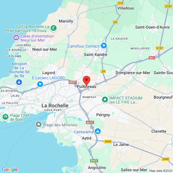 google map