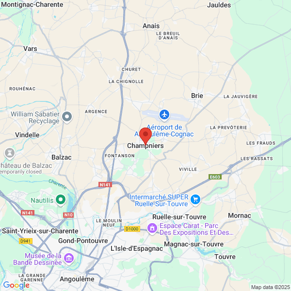 google map