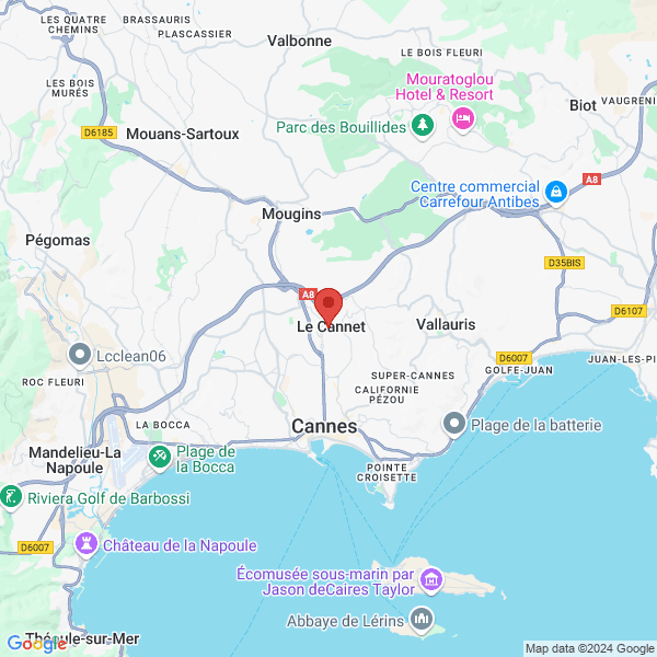 google map