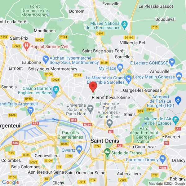 google map